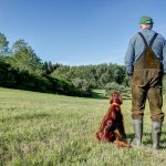 Renovación permiso de armas para mayores de 65 años