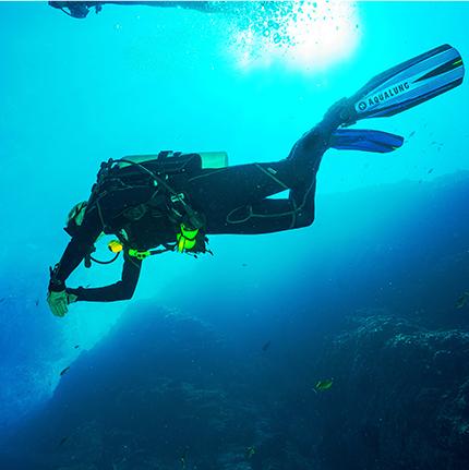 Certificados médicos
Buceo y pesca submarina