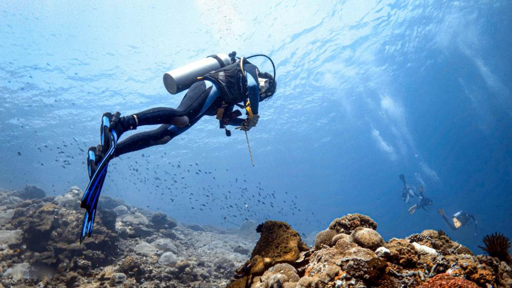 Buceo y pesca submarina