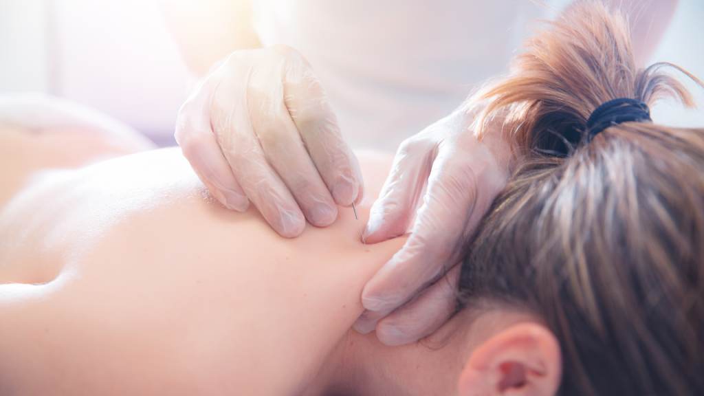 fisioterapeuta