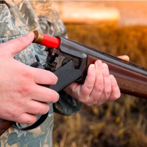 Licencia de armas